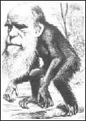 Karikatuur van Darwin